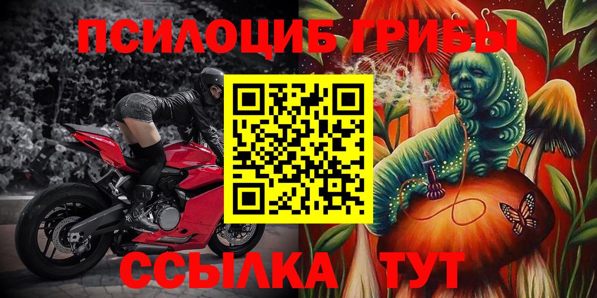 Камышлов  Галлюциногенные грибы ЛСД  Вход с VPN 