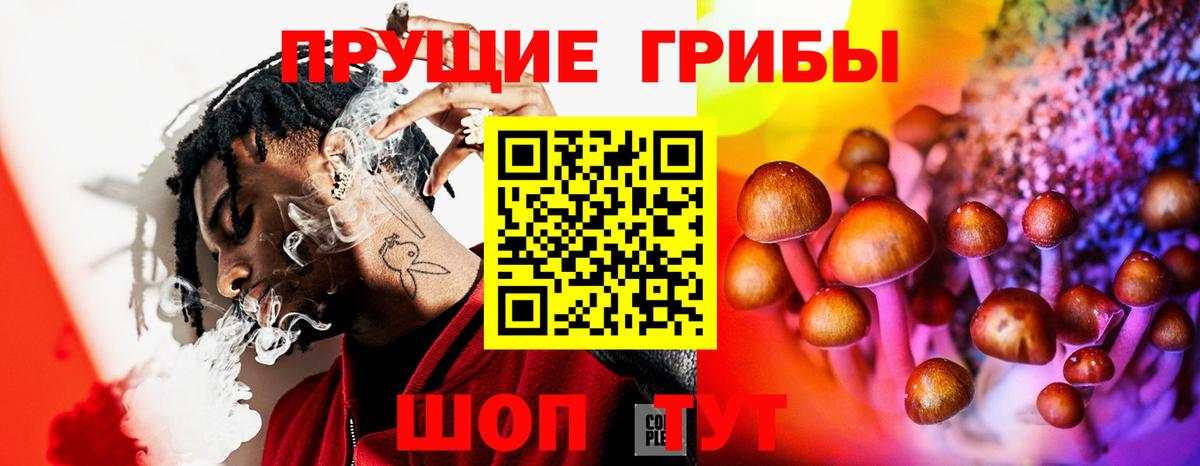 Псилоцибиновые грибы GOLDEN TEACHER Камышлов